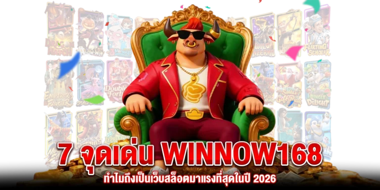 จุดเด่น Winnow168