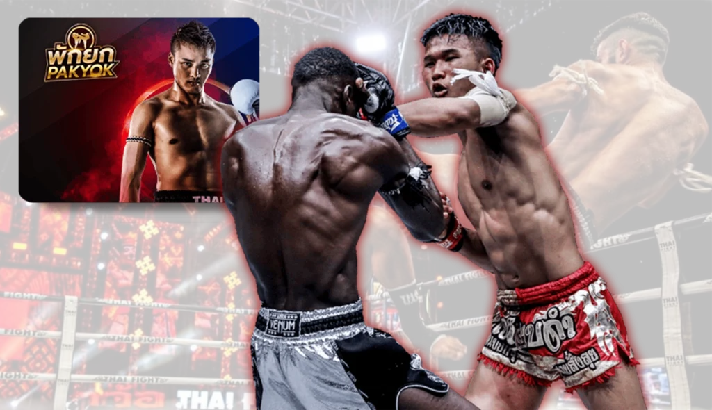 WINNOW168-มวยออนไลน์